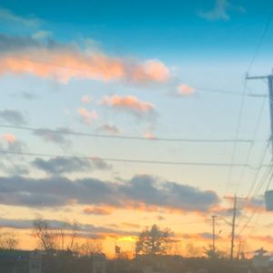 Meet your Posher, Belle